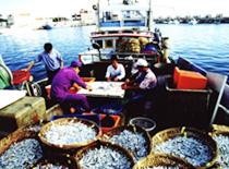 Fishery