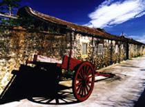  ox cart