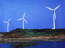 Wind Farm